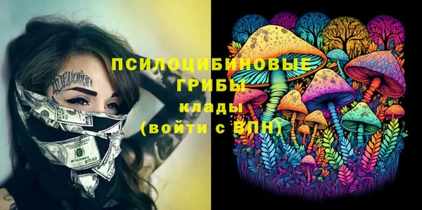 крисы Аркадак