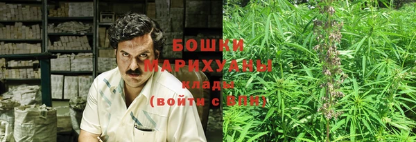 крисы Аркадак