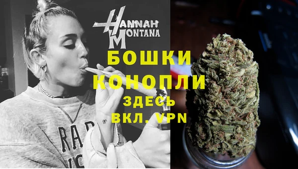 крисы Аркадак
