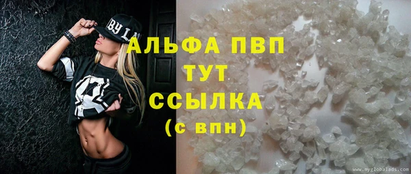крисы Аркадак