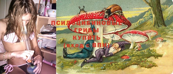 крисы Аркадак