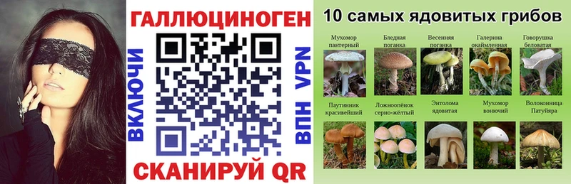 Галлюциногенные грибы Magic Shrooms  hydra ТОР  Каргат  дарнет шоп 